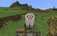 Fluffy sheep (Image via Minecraft)